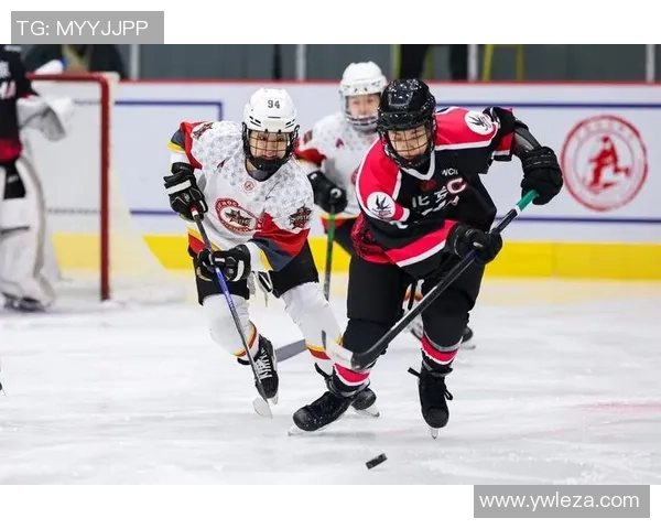 深圳篮球队总决赛状态解析:从表现看未来发展潜力与挑战